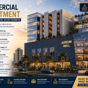 commercial investment